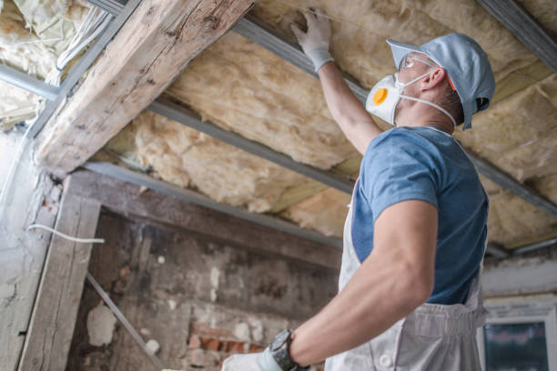 Best Insulation Inspection Services  in Aliquip, PA