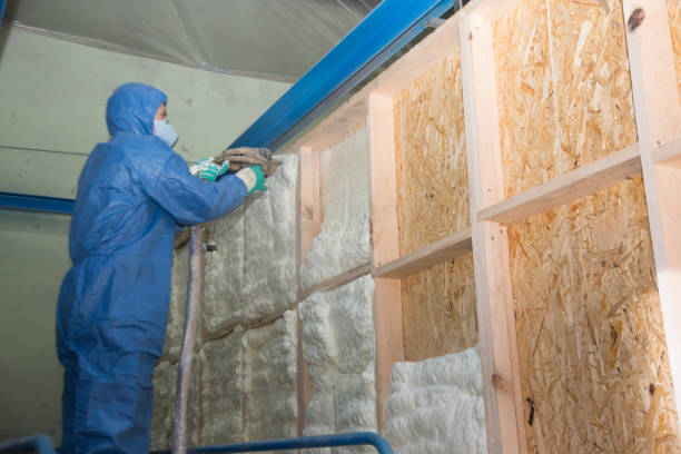 Best Attic Insulation Near Me  in Aliquip, PA